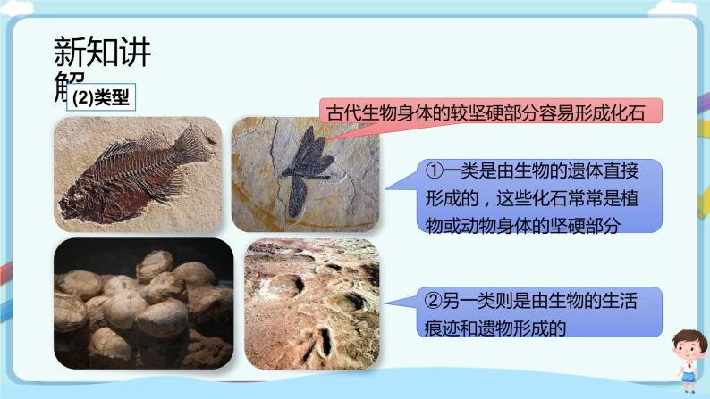 济南版生物八下5.1.2 生物进化的证据  课件+教案+学案+素材05