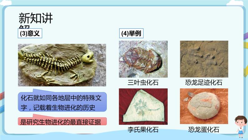 济南版生物八下5.1.2 生物进化的证据  课件+教案+学案+素材06