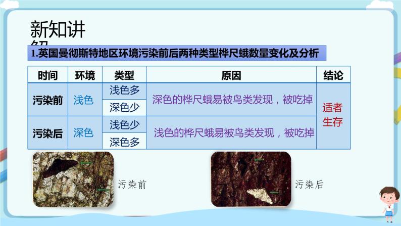 【新课标】济南版生物八下5.1.4 生物进化的原因  课件+教案+学案+素材05