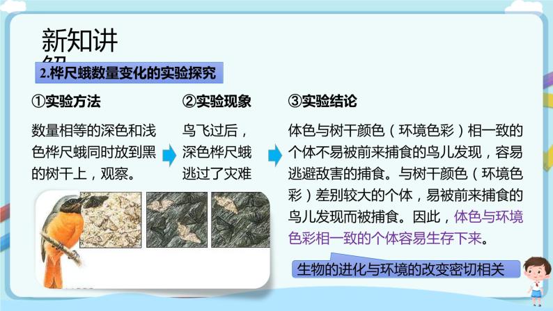 【新课标】济南版生物八下5.1.4 生物进化的原因  课件+教案+学案+素材06