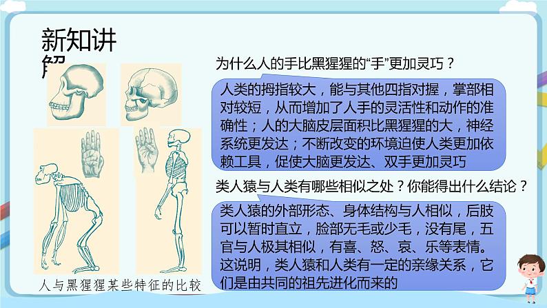 【新课标】济南版生物八下5.2.1 人类的起源 课件+教案+学案+素材06
