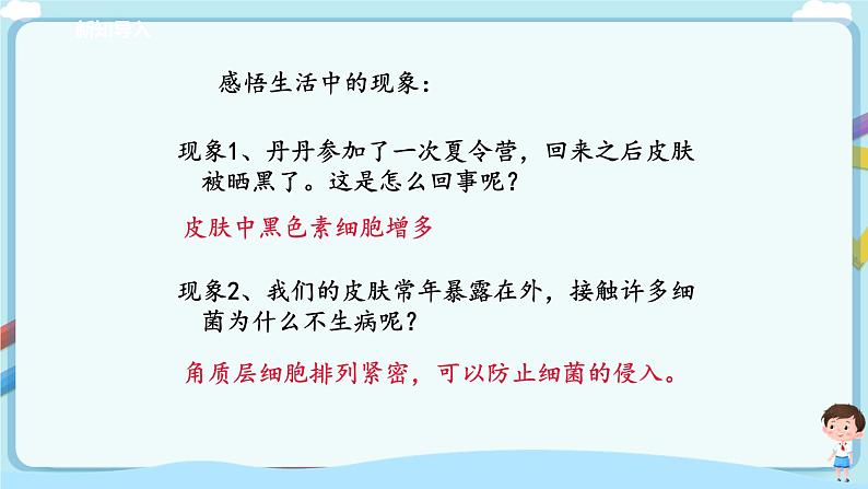 济南版生物七年级下册 3.4.2 汗液的形成与排出 课件+学案(含答案)+练习(含解析)04