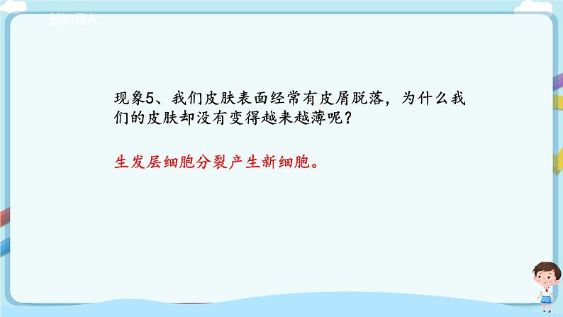 济南版生物七年级下册 3.4.2 汗液的形成与排出 课件+学案(含答案)+练习(含解析)06