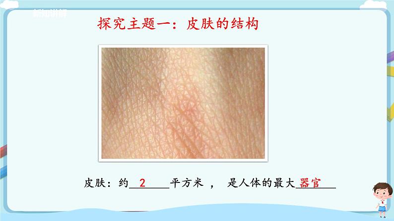 济南版生物七年级下册 3.4.2 汗液的形成与排出 课件+学案(含答案)+练习(含解析)07