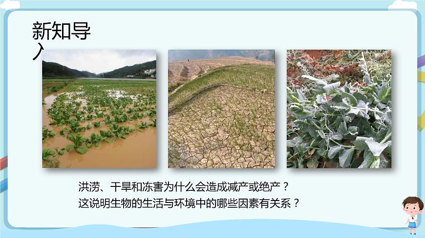 濟南版生物八下6.1.1 環(huán)境對生物的作用  課件第3頁