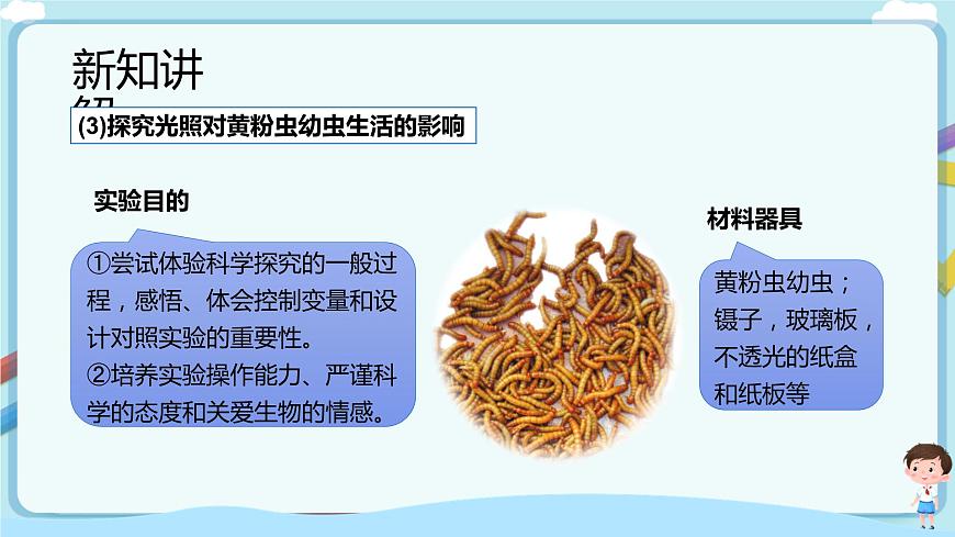 濟南版生物八下6.1.1 環(huán)境對生物的作用  課件第6頁
