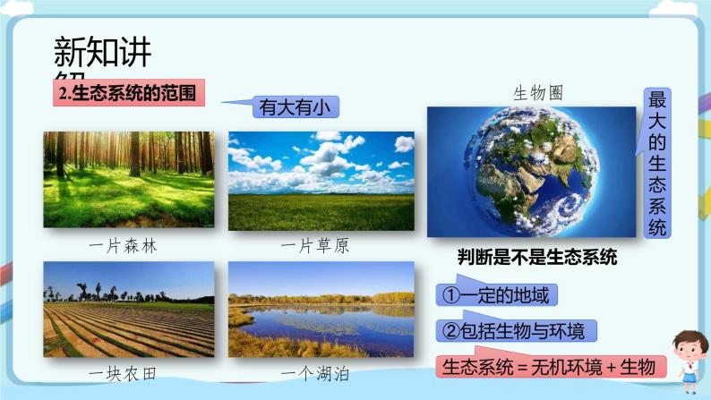 【新课标】济南版生物八下6.2.1 生态系统的组成  课件+教案+学案+素材06