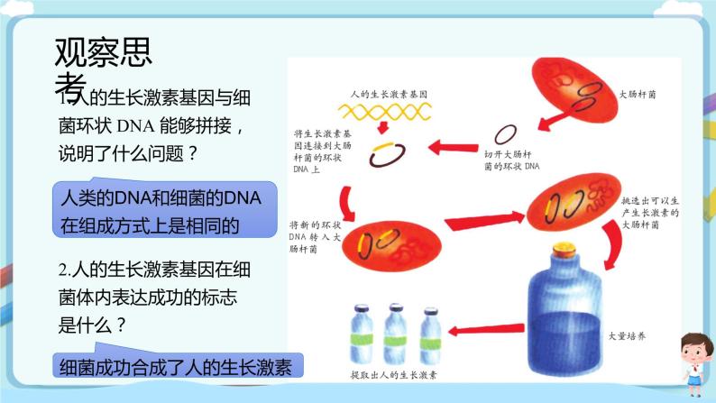 济南版生物八下7.2.1 基因工程  课件+教案+学案+素材07