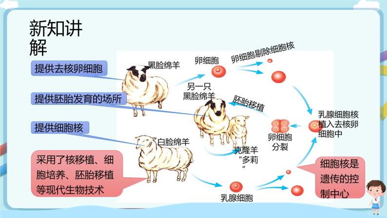 济南版生物八下7.2.2 克隆技术  课件+教案+学案+素材07