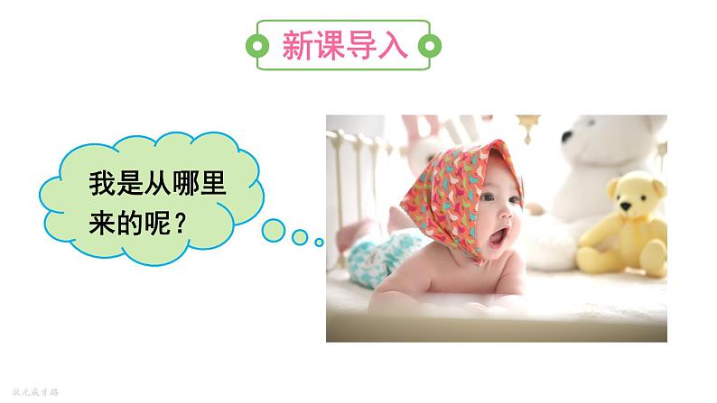 人教版七年级生物下册--4.1.2--人的生殖(课件)第2页
