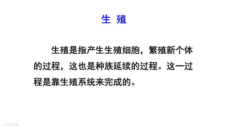 人教版七年级生物下册--4.1.2--人的生殖(课件)第4页