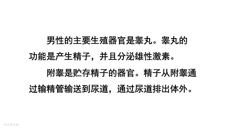 人教版七年级生物下册--4.1.2--人的生殖(课件)第7页