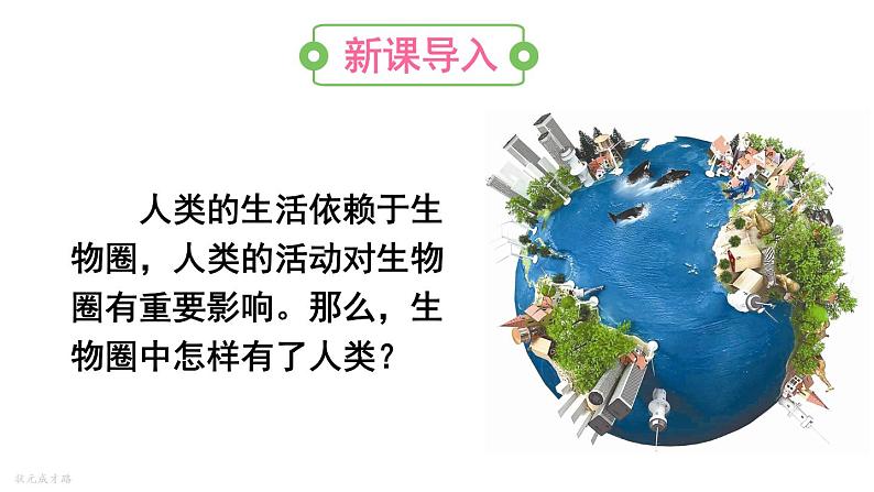 人教版七年级生物下册--4.1.1人类的起源和发展(课件)第2页