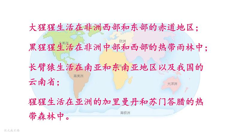 人教版七年级生物下册--4.1.1人类的起源和发展(课件)第7页