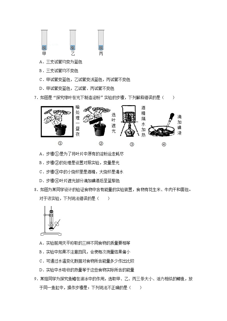 备战2023生物新中考二轮复习考点精讲精练(江苏专用)专题18科学探究(解析版)第3页