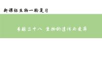 专题28生物的遗传与变异八年级下册一轮复习课件精讲与习题精练