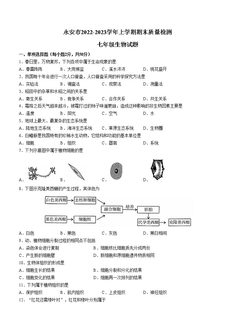 福建省三明市永安市2022-2023学年七年级上学期期末生物试题(含答案)01