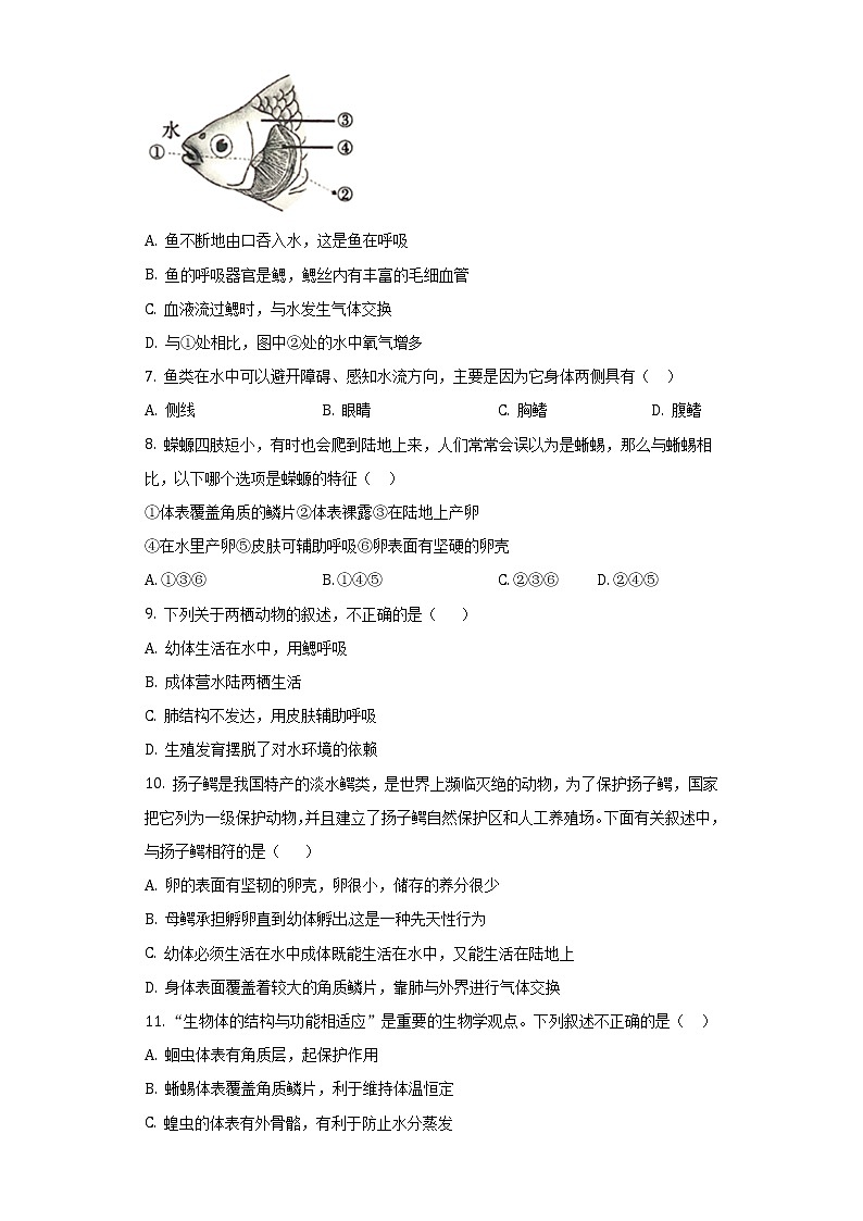 湖北省武汉市青山区2022~2023学年八年级上学期期末生物试卷(含答案)02