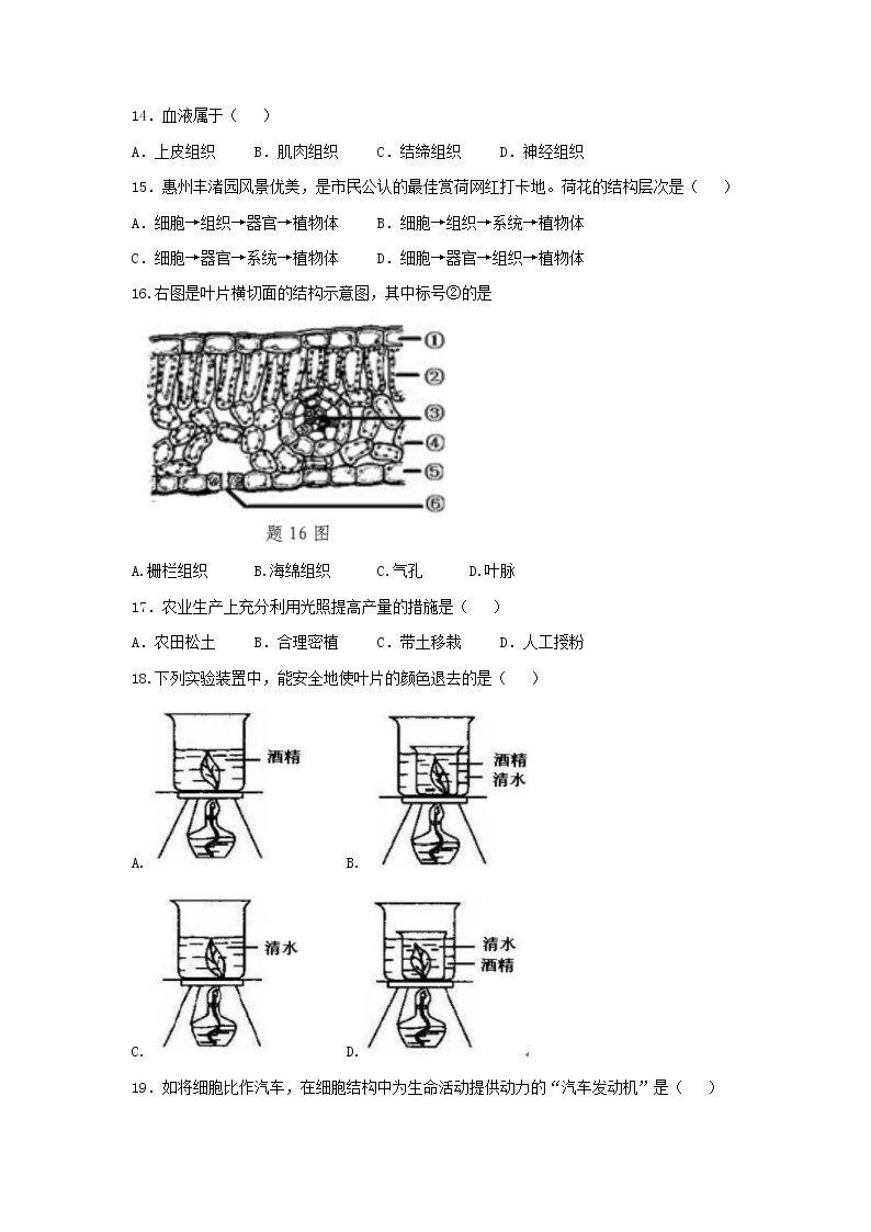 广东省惠州市惠城区2022-2023学年七年级上学期期末生物试题(无答案)03