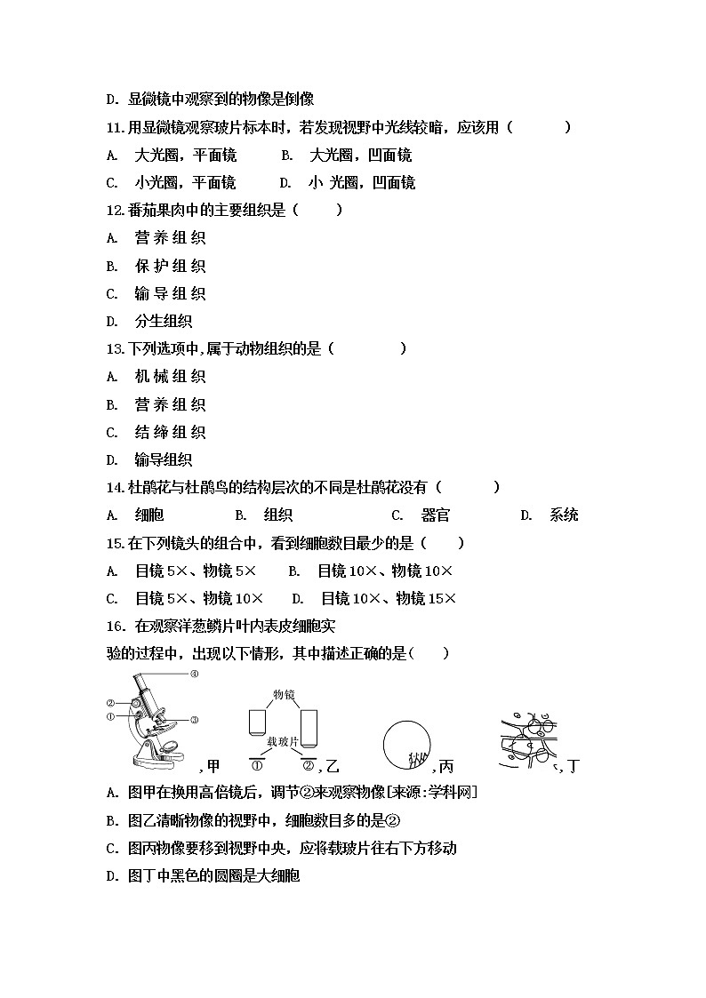 初中生物中考复习 2020届中考生物复习跟踪检测:生物体的结构层次第3页