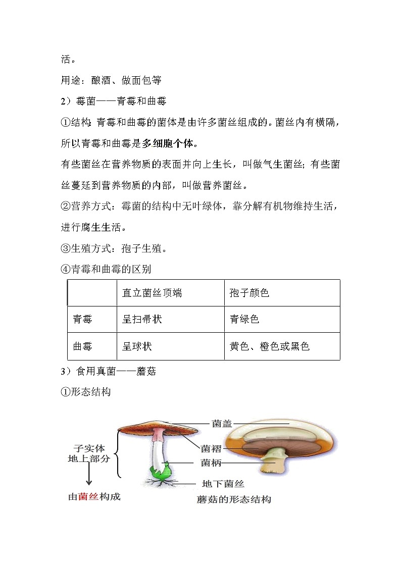 初中生物中考复习 2020届中考生物复习知识点素材:细菌、病毒和真菌02