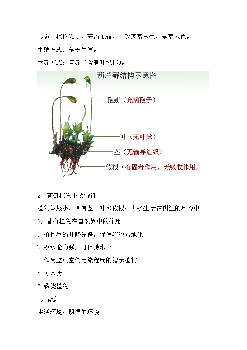 初中生物中考复习 2020届中考生物复习知识点素材:植物的类群第2页
