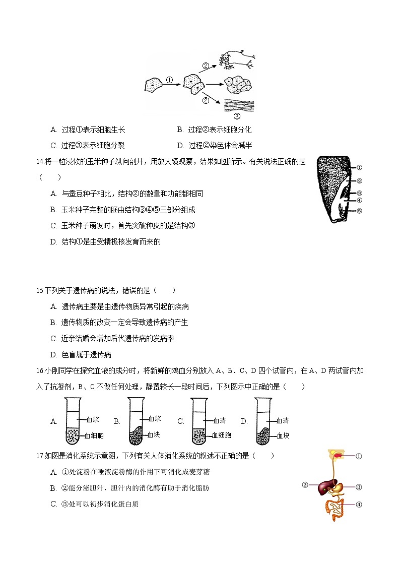 初中生物中考复习 2020年中考生物第二次模拟大联考(江苏)-生物(A4考试版)第3页