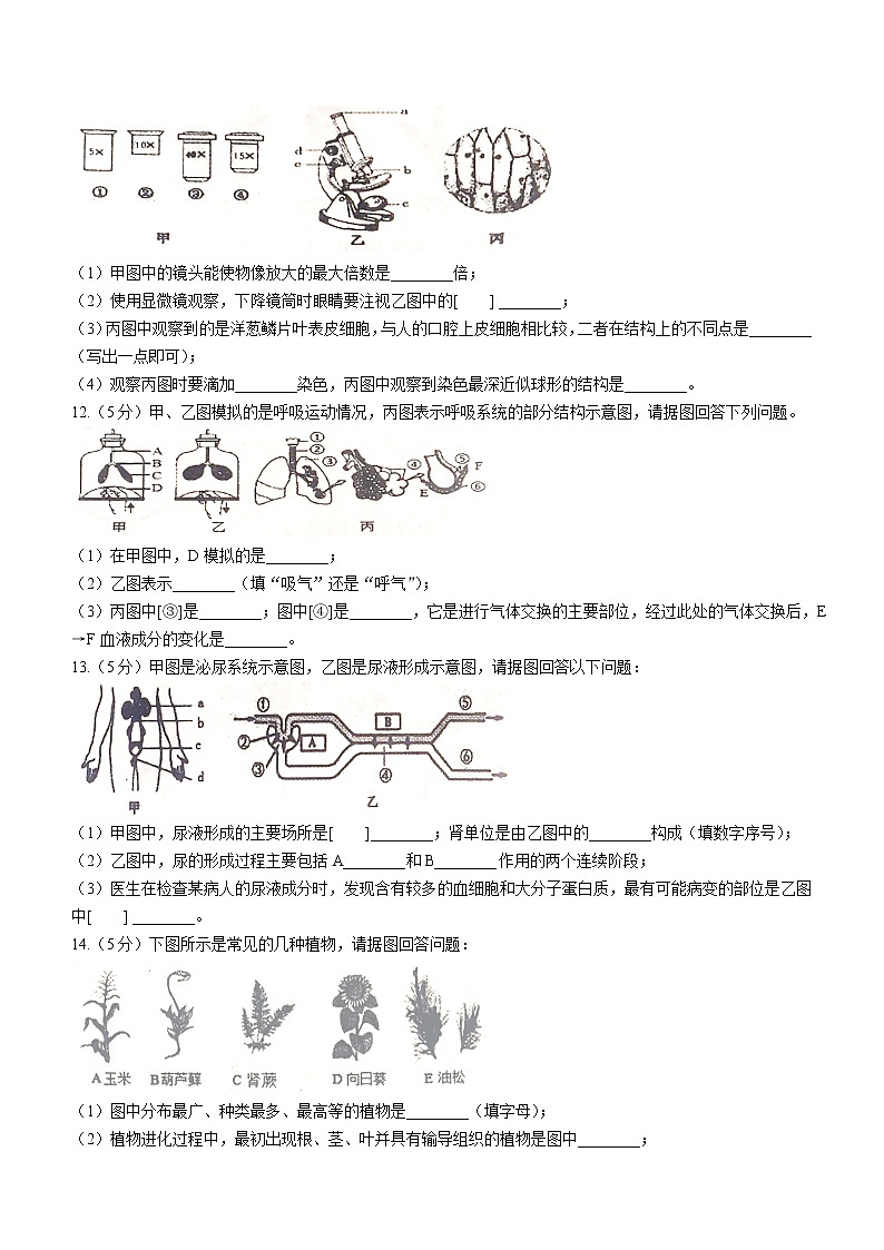初中生物中考复习 2022年辽宁省本溪市中考生物真题第2页