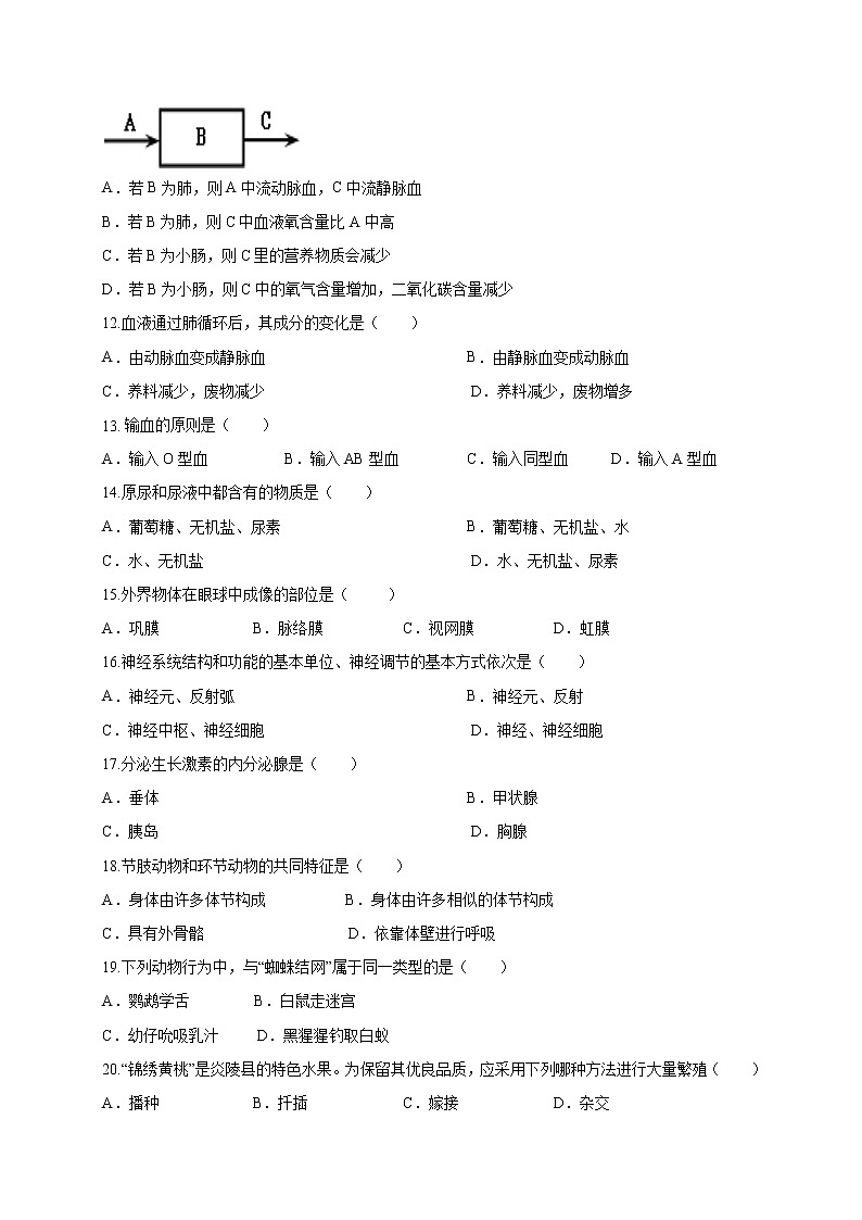 初中生物中考复习 必刷卷04:2020年中考生物仿真模拟必刷卷(人教通用版)(原卷版)02