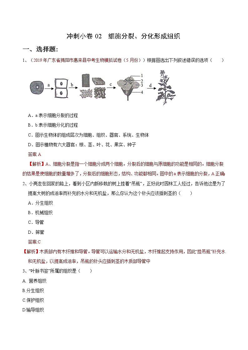 初中生物中考复习 冲刺小卷02 细胞分裂、分化形成组织-2020年《三步冲刺中考·生物》之最新模考分类冲刺小卷(人教通用版)(解析版)第1页