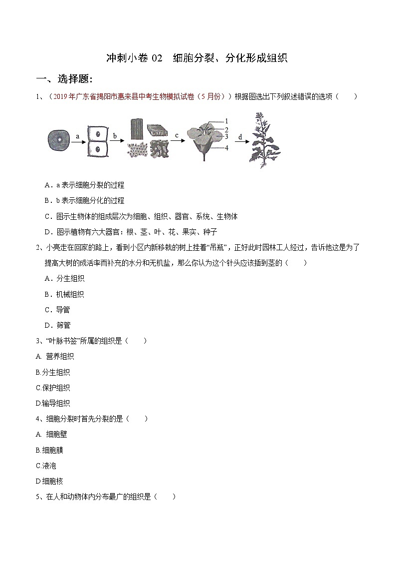 初中生物中考复习 冲刺小卷02 细胞分裂、分化形成组织-2020年《三步冲刺中考·生物》之最新模考分类冲刺小卷(人教通用版)(原卷版)第1页