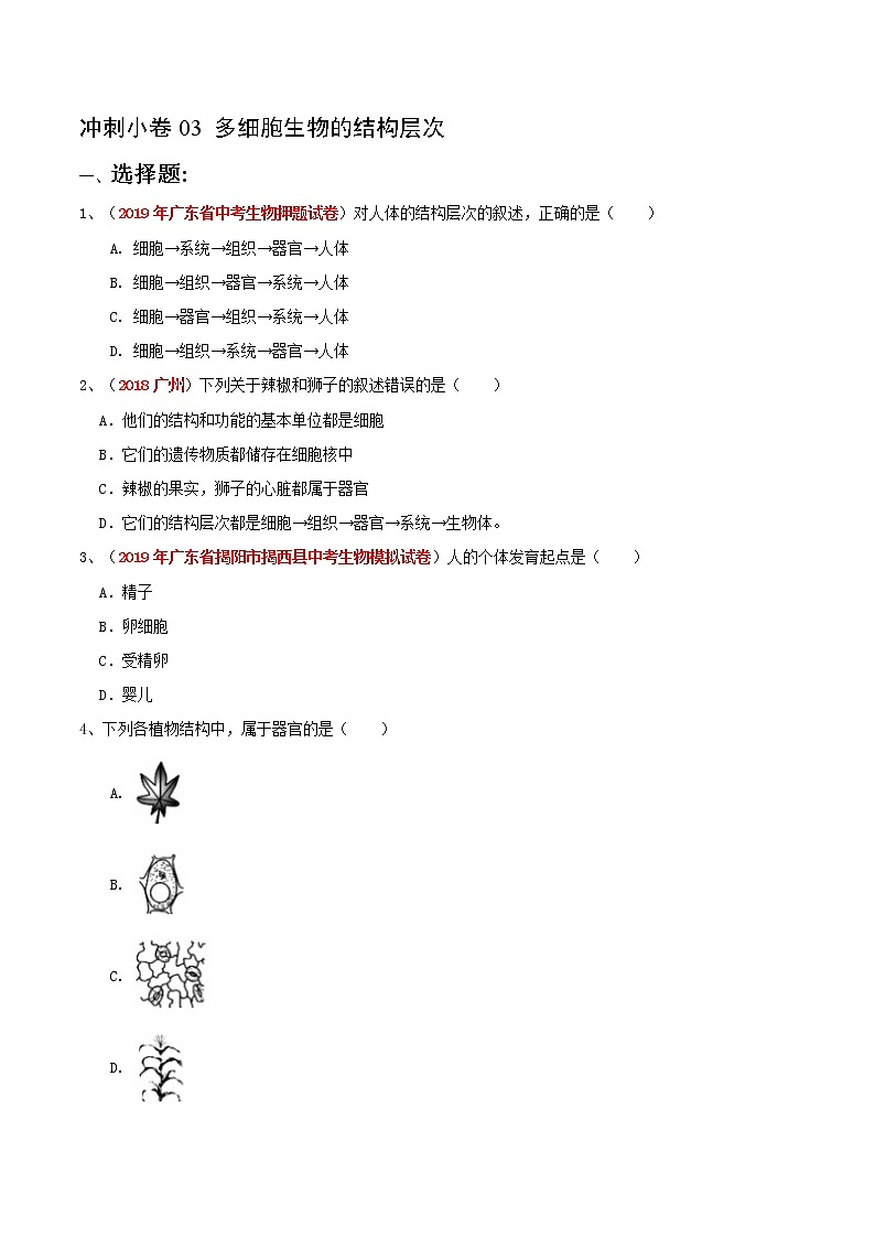 初中生物中考复习 冲刺小卷03 多细胞生物的结构层次-2020年《三步冲刺中考·生物》之最新模考分类冲刺小卷(人教通用版)(原卷版)第1页
