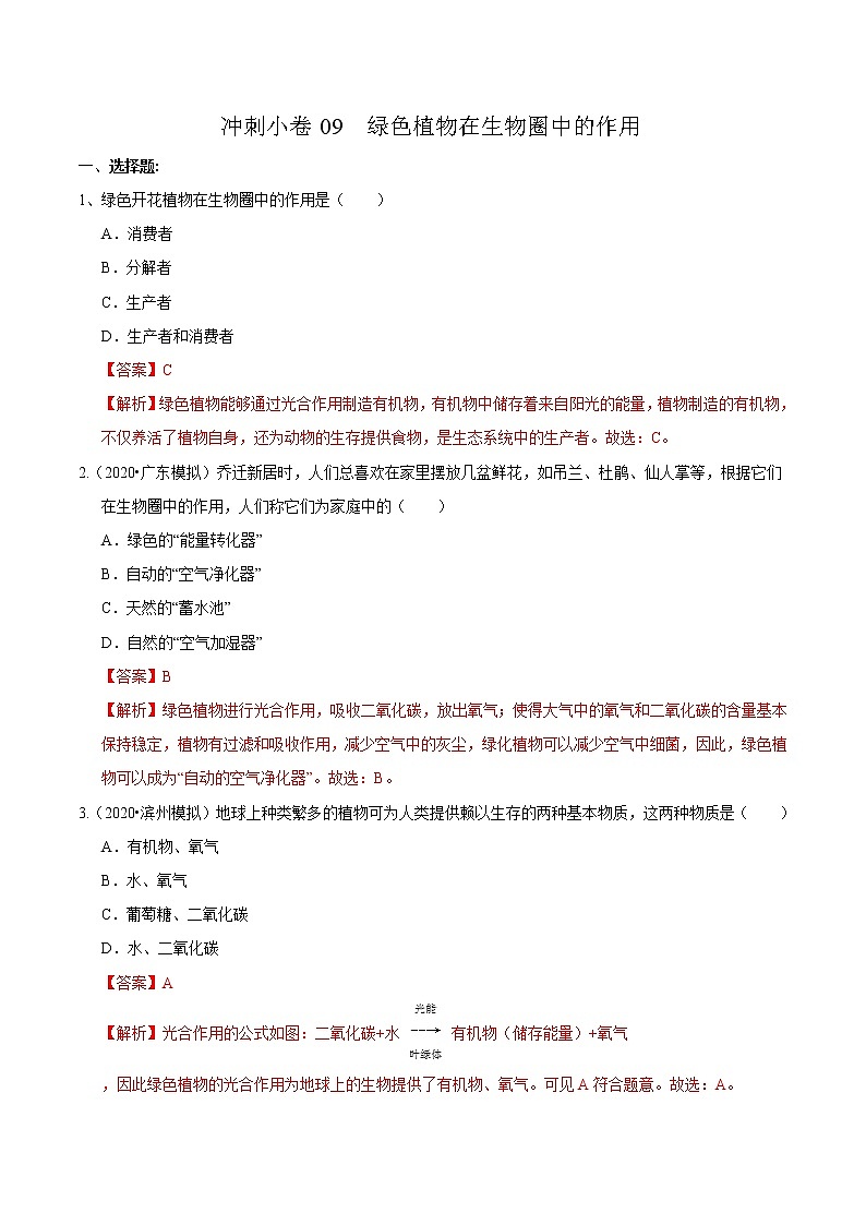 初中生物中考复习 冲刺小卷09 绿色植物在生物圈中的作用-2020年《三步冲刺中考·生物》之最新模考分类冲刺小卷(人教通用版)(解析版)01