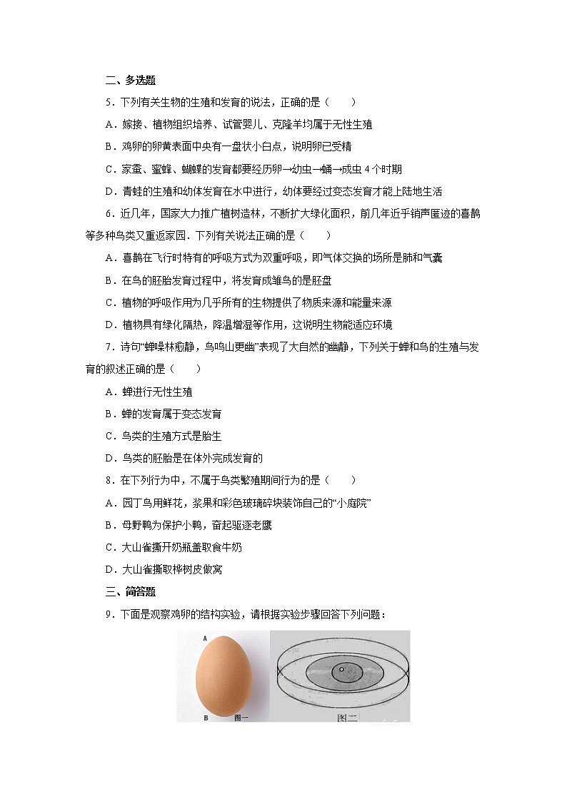 初中生物中考复习 初中生物实验突破(通用版):观察鸡卵的结构课后作业第2页