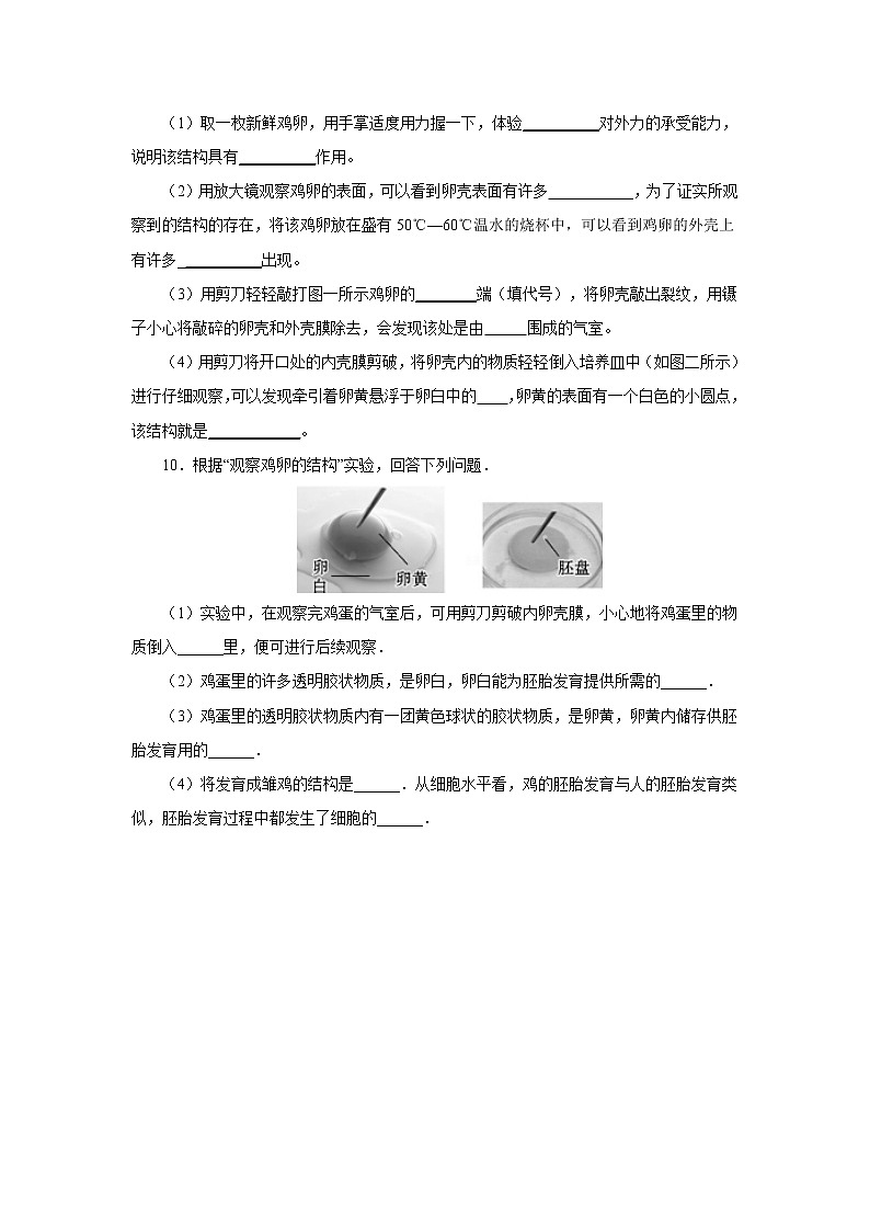初中生物中考复习 初中生物实验突破(通用版):观察鸡卵的结构课后作业第3页