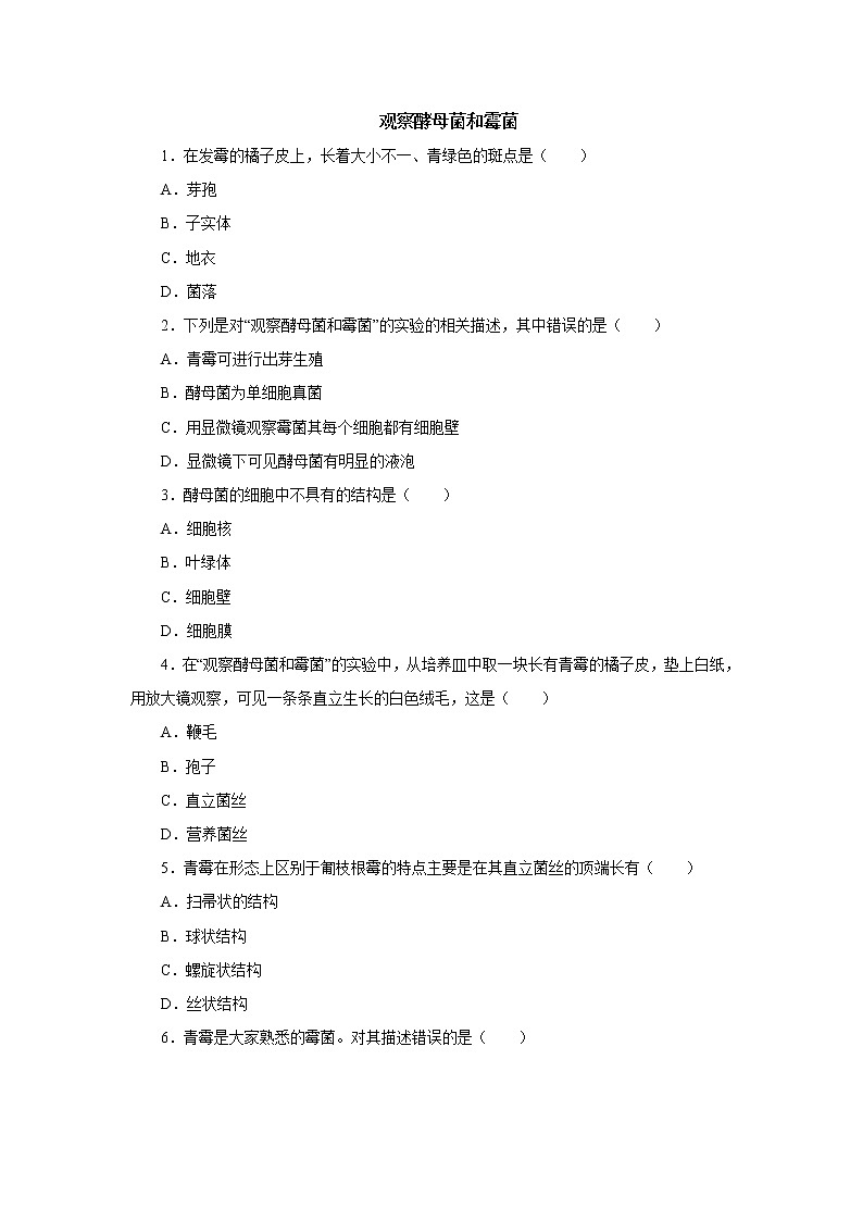 初中生物中考复习 初中生物实验突破(通用版):观察酵母菌和霉菌课后作业01