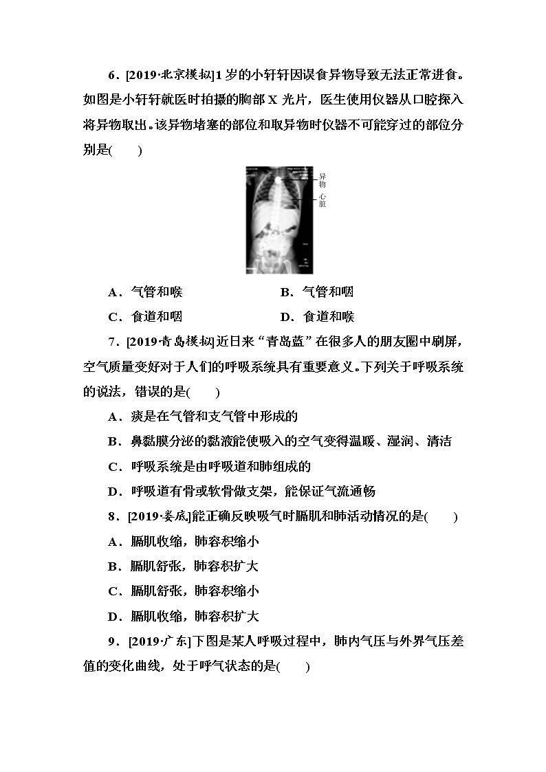 初中生物中考复习 第12单元 人体的呼吸第2页