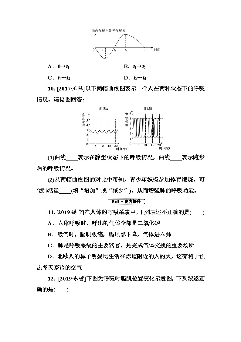 初中生物中考复习 第12单元 人体的呼吸第3页