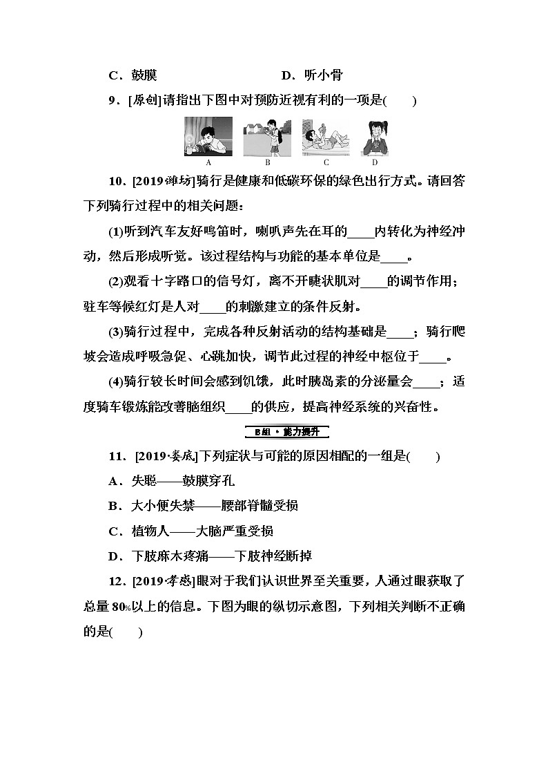 初中生物中考复习 第15单元 人体对外界环境的感知第3页