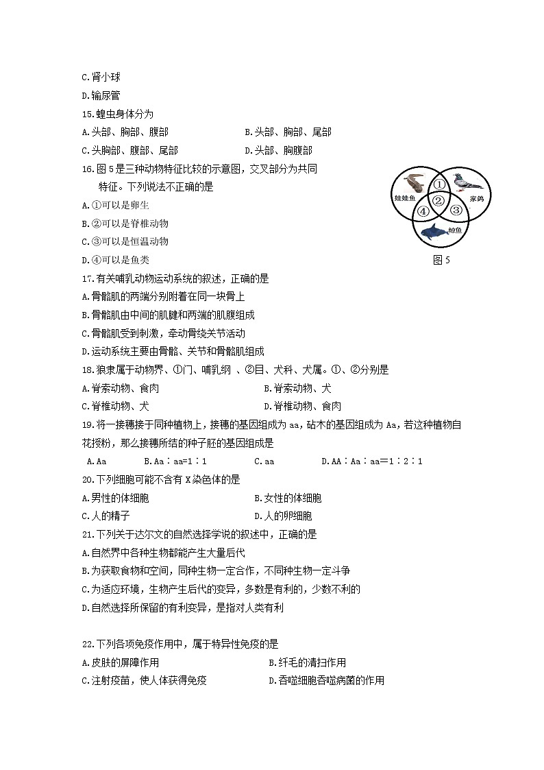 初中生物中考复习 广东省2019中考生物考前模拟试题(三)03
