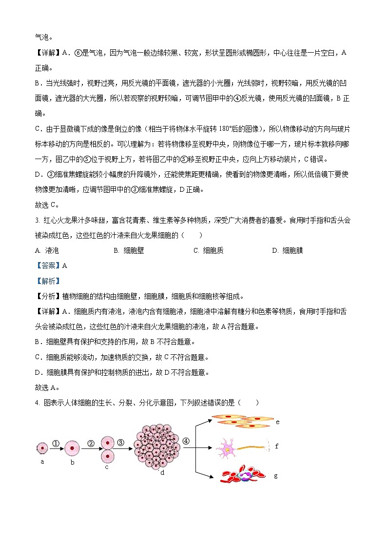 初中生物中考复习 精品解析:2022年广西贺州市中考生物真题(解析版)02