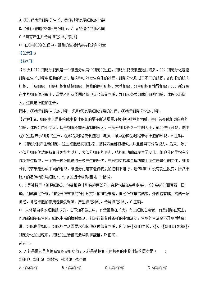 初中生物中考复习 精品解析:2022年广西贺州市中考生物真题(解析版)03