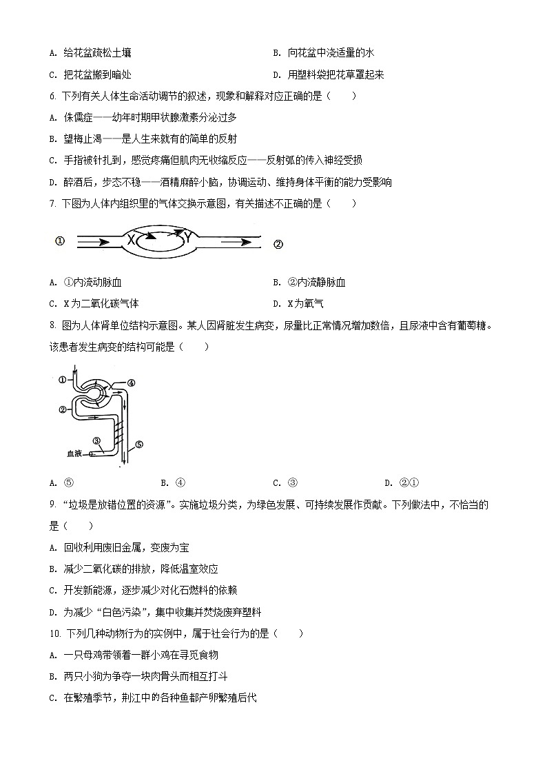 初中生物中考复习 精品解析:2022年湖北省荆州市中考生物真题(原卷版)第2页