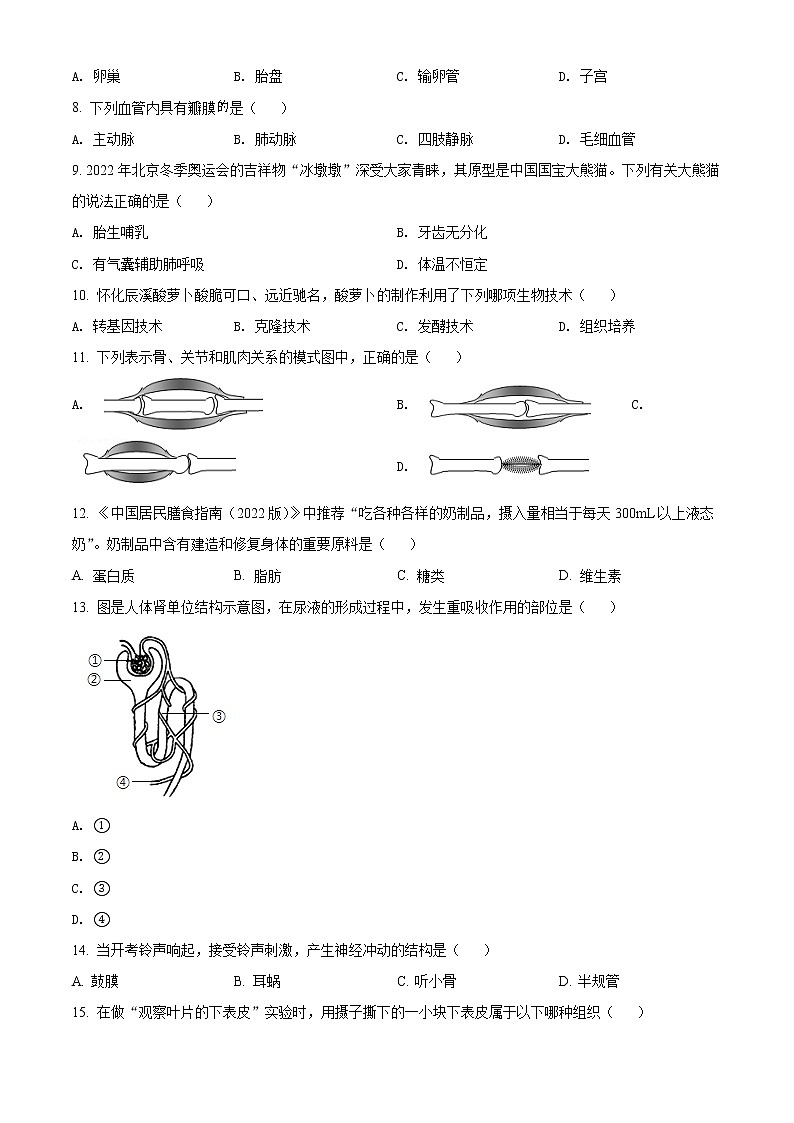 初中生物中考复习 精品解析:2022年湖南省怀化市中考生物真题(原卷版)第2页