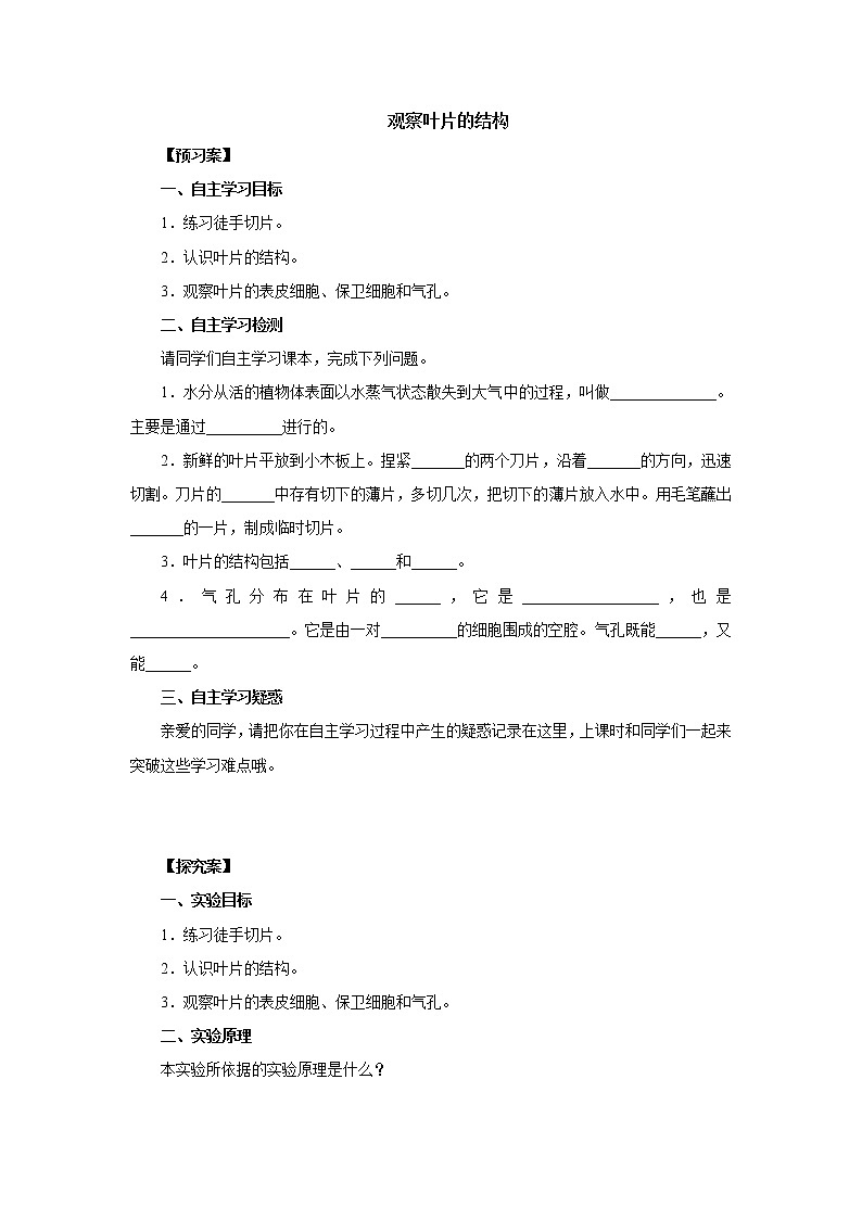 初中生物中考复习 初中生物实验突破(通用版):观察叶片的结构导学案01