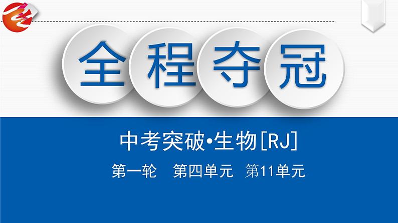 初中生物中考复习 第11单元 消化和吸收课件PPT第1页