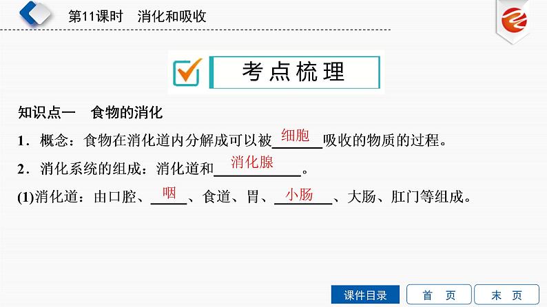 初中生物中考复习 第11单元 消化和吸收课件PPT第3页