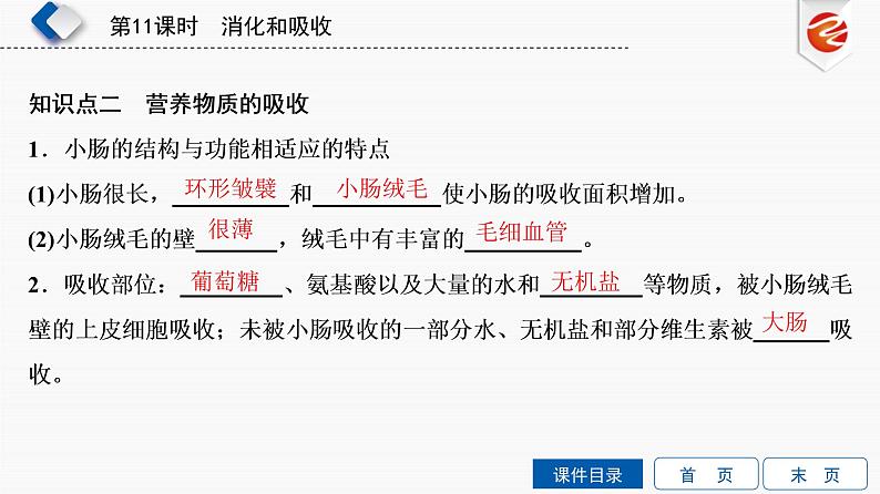 初中生物中考复习 第11单元 消化和吸收课件PPT第6页