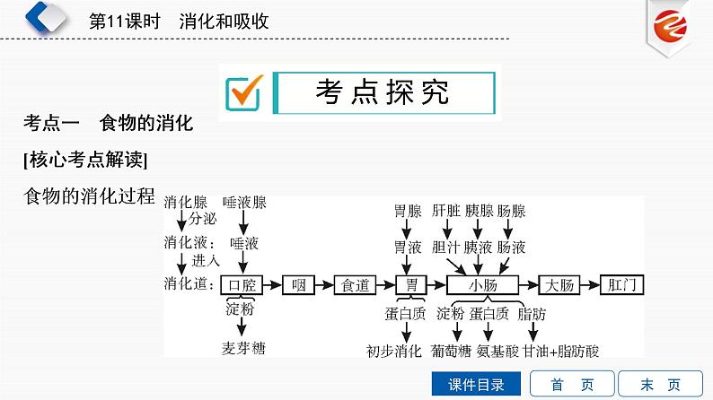 初中生物中考复习 第11单元 消化和吸收课件PPT第7页