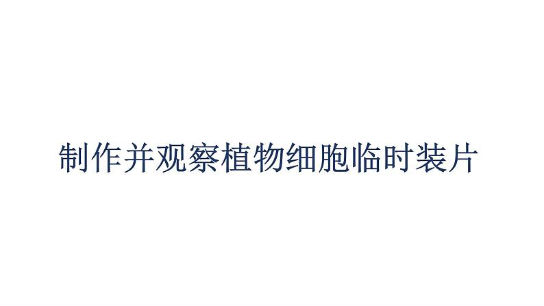 初中生物中考复习 初中生物实验突破(通用版):制作并观察植物细胞临时装片课件01